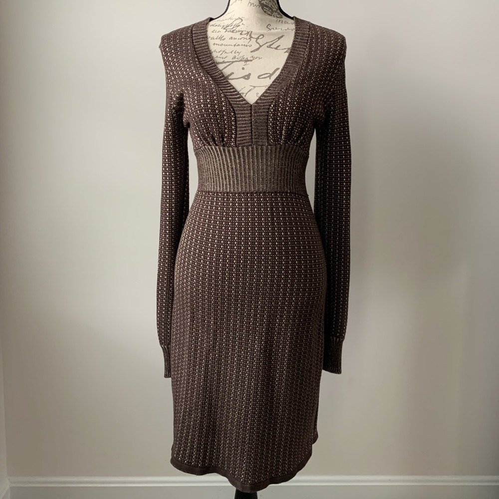 Express Sweater Dress